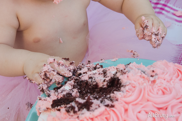 Smash the cake, clean up, cake smash, 1 ano, primeiro aniversario